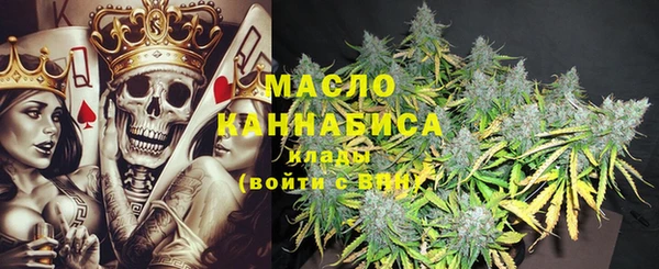 шишки Гусев