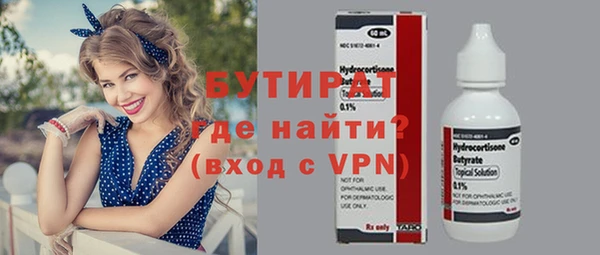 шишки Гусев