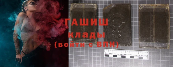 шишки Гусев