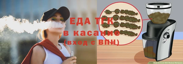 шишки Гусев