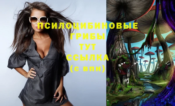 шишки Гусев