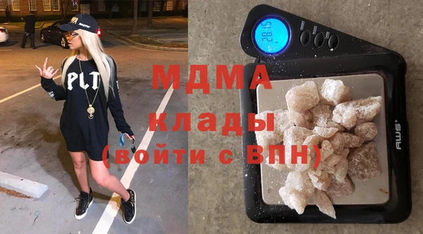 шишки Гусев