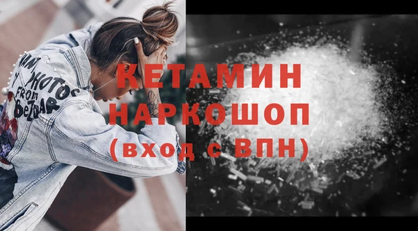 шишки Гусев