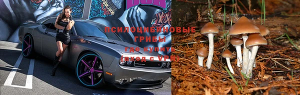 мефедрон Гусиноозёрск