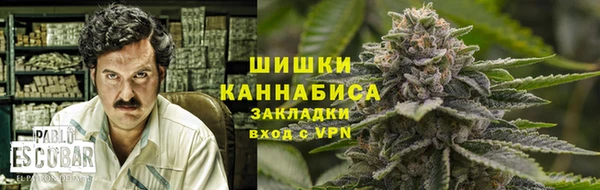 дмт Гусь-Хрустальный
