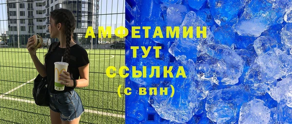 шишки Гусев