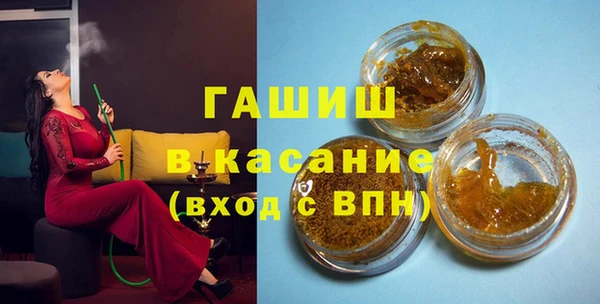 шишки Гусев