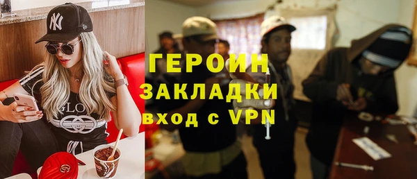 шишки Гусев