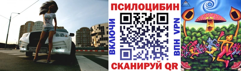 Псилоцибиновые грибы Psilocybine cubensis  Новошахтинск 